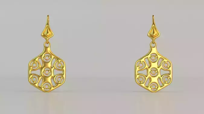 Hanging Ear Rings 65