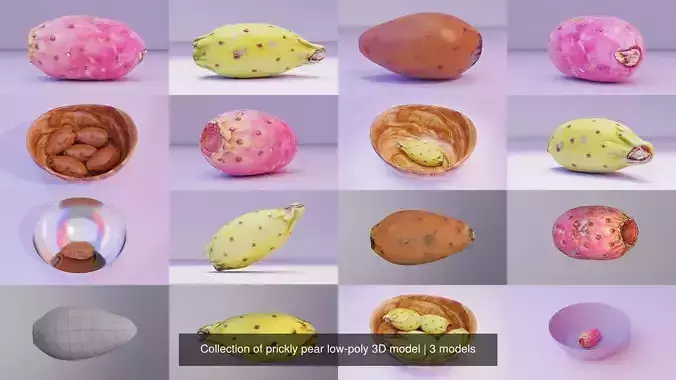 Collection of prickly pear low-poly 3D model