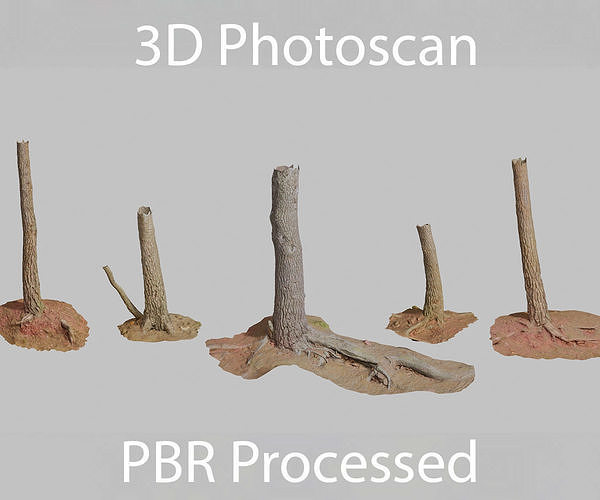 PBR Pine Roots Tree Trunk Scan Set Collection Low-poly 3D model
