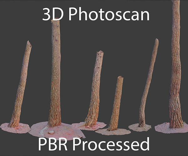 PBR Pine Tree Trunk Scan Set collection Low-poly 3D model