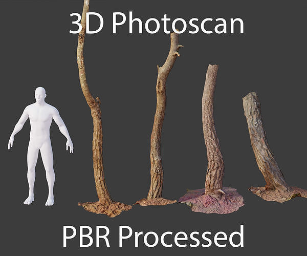 PBR Small Pine Tree Trunk Scan Set collection Low-poly 3D model