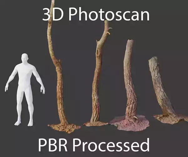 PBR Small Pine Tree Trunk Scan Set collection Low-poly 3D model