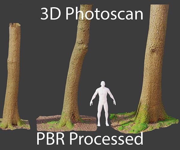 PBR Oak Tree Forest Scan Trunk Pack Low-poly 3D model