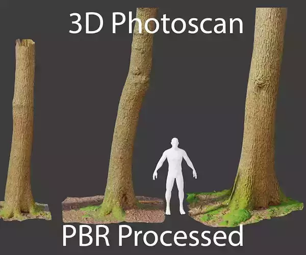 PBR Oak Tree Forest Scan Trunk Pack
