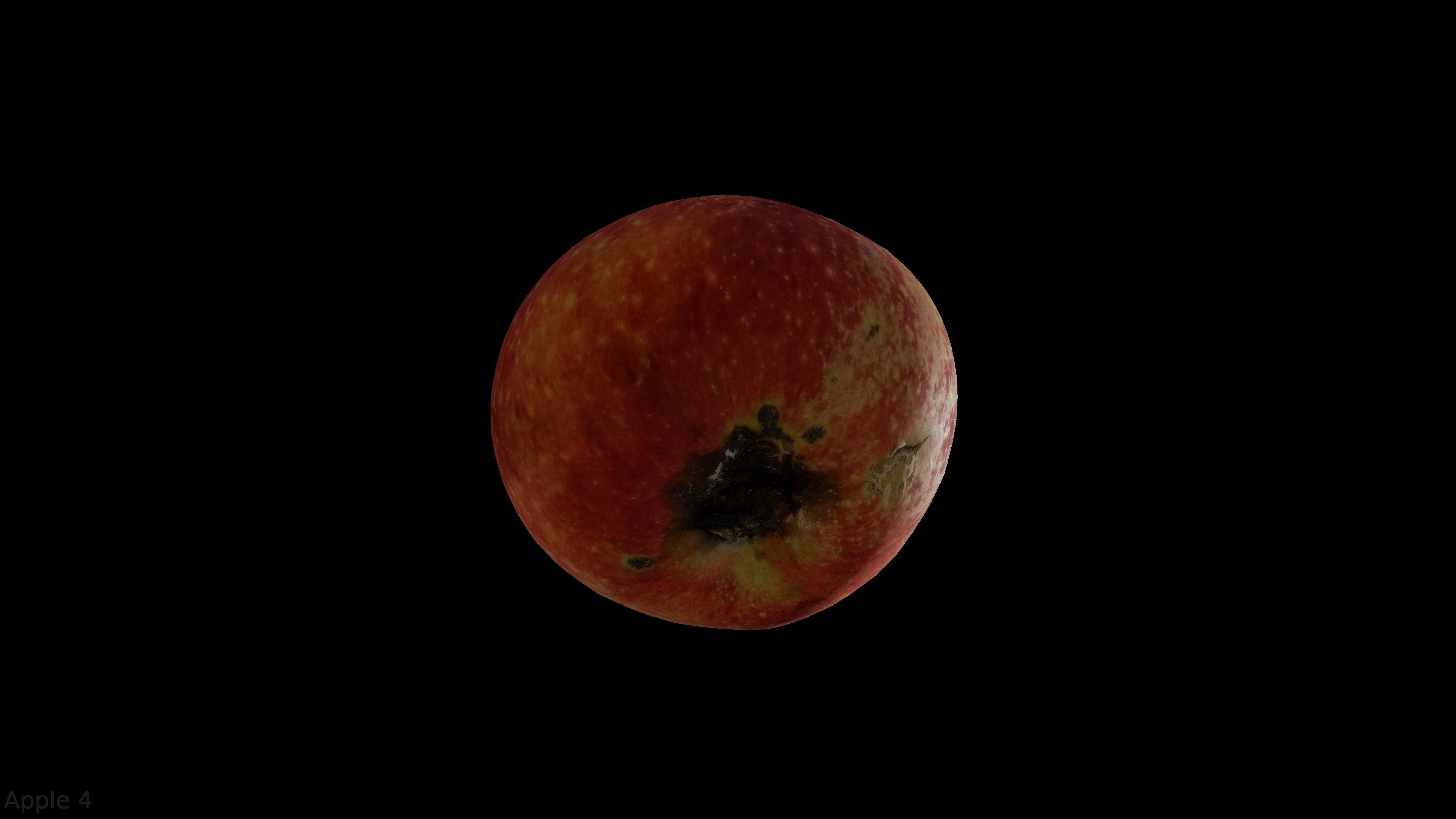 Four different old apple varieties Low-poly 3D model_17