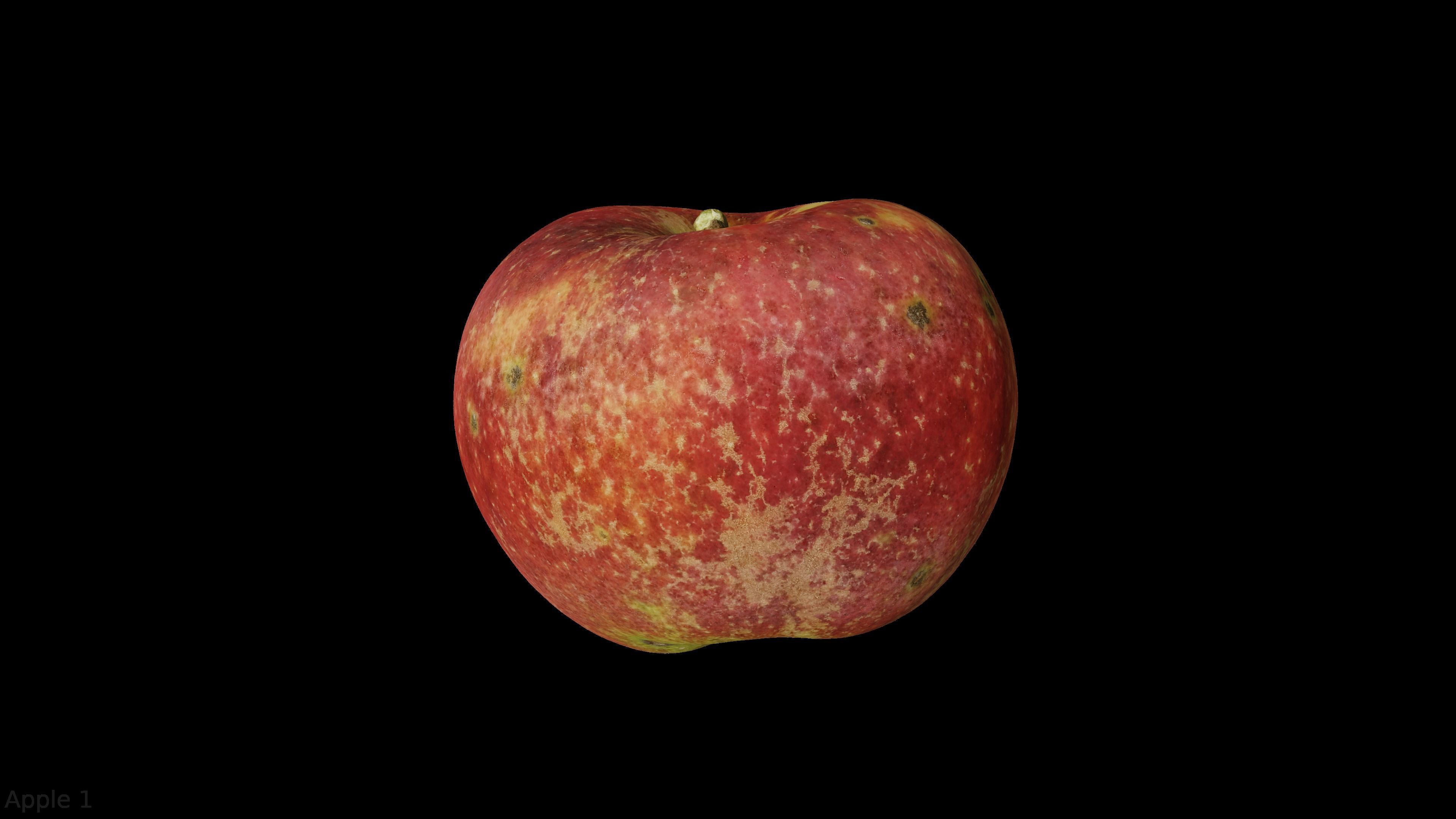 Four different old apple varieties Low-poly 3D model_2