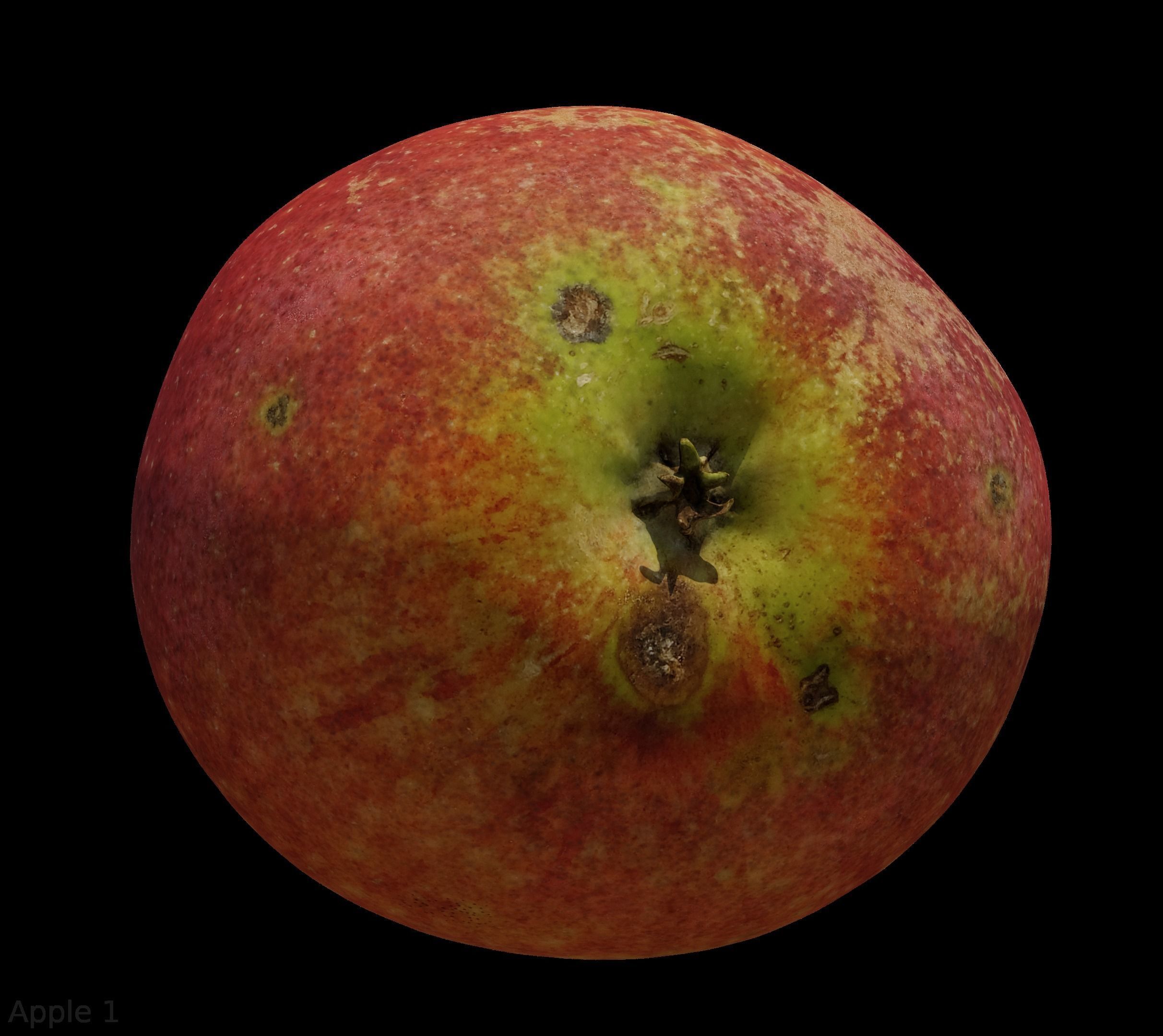 Four different old apple varieties Low-poly 3D model_4