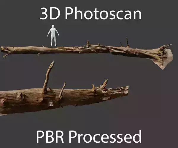 PBR Big Fallen Dead Oak Tree Big Scan 8m