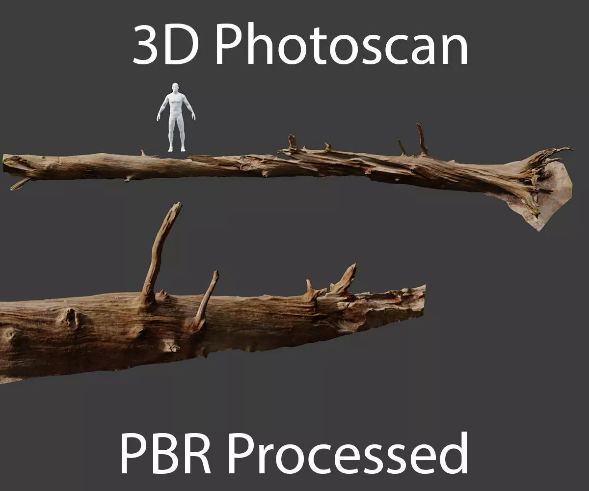 PBR Big Fallen Dead Oak Tree Big Scan 8m Low-poly 3D model