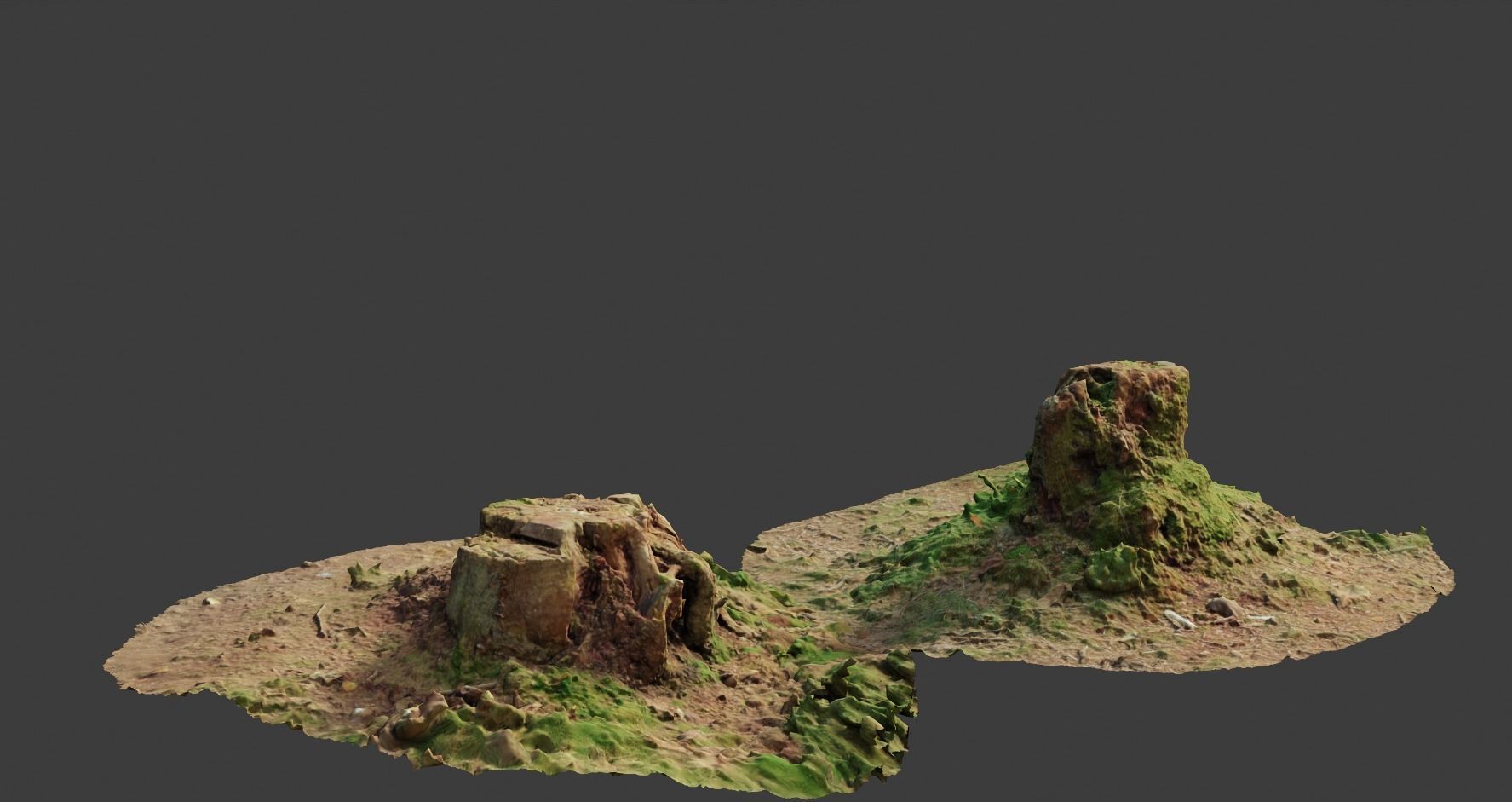 PBR Oak Small Tree Forest Scan Trunk Pack 3D model_12