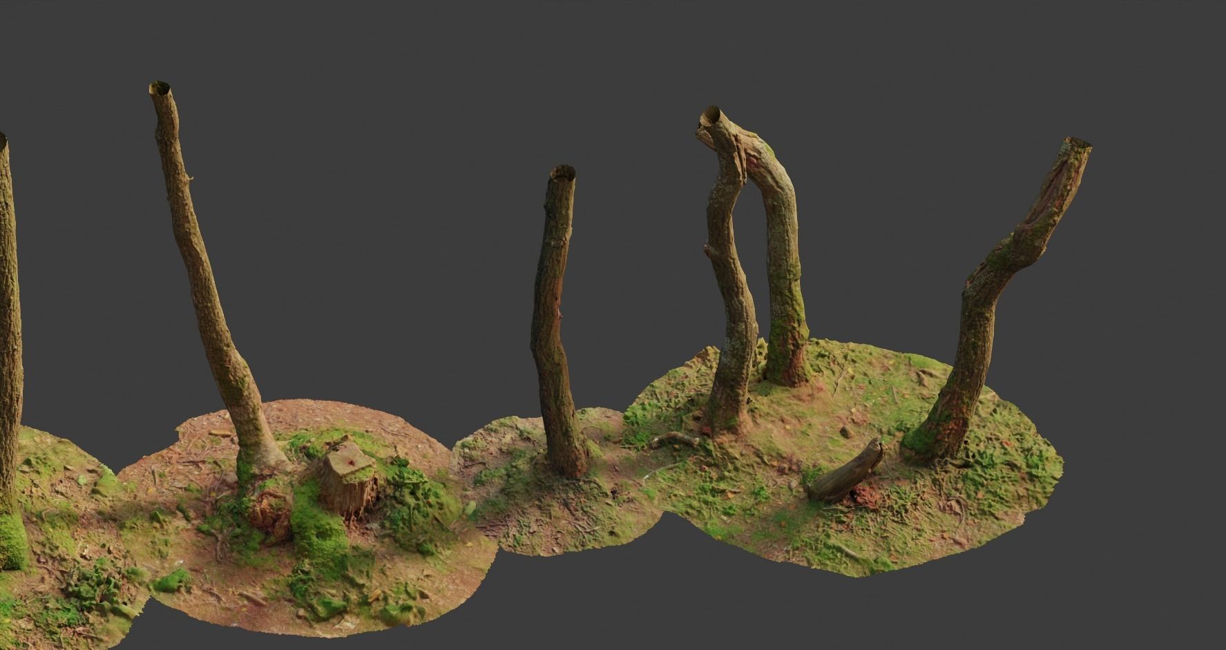 PBR Oak Small Tree Forest Scan Trunk Pack 3D model_6