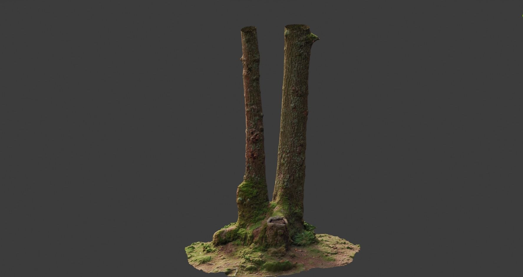 PBR Oak Small Tree Forest Scan Trunk Pack 3D model_19
