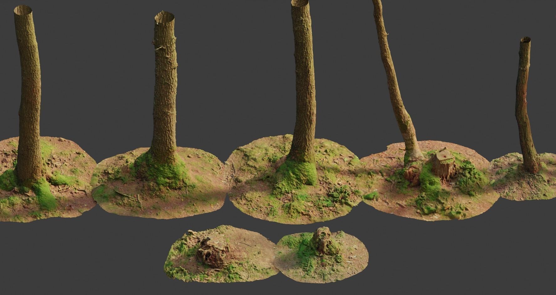 PBR Oak Small Tree Forest Scan Trunk Pack 3D model_22