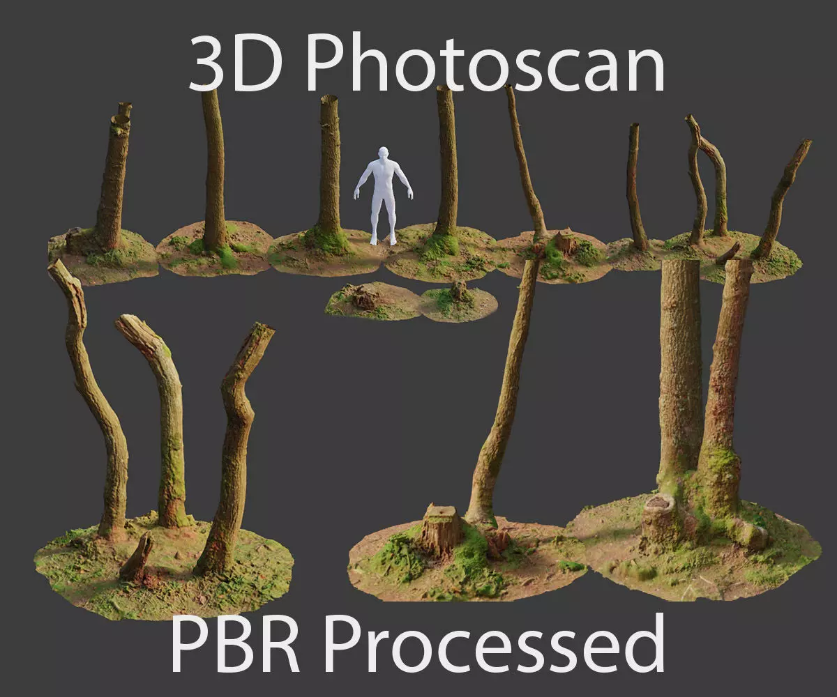 PBR Oak Small Tree Forest Scan Trunk Pack 3D model_0