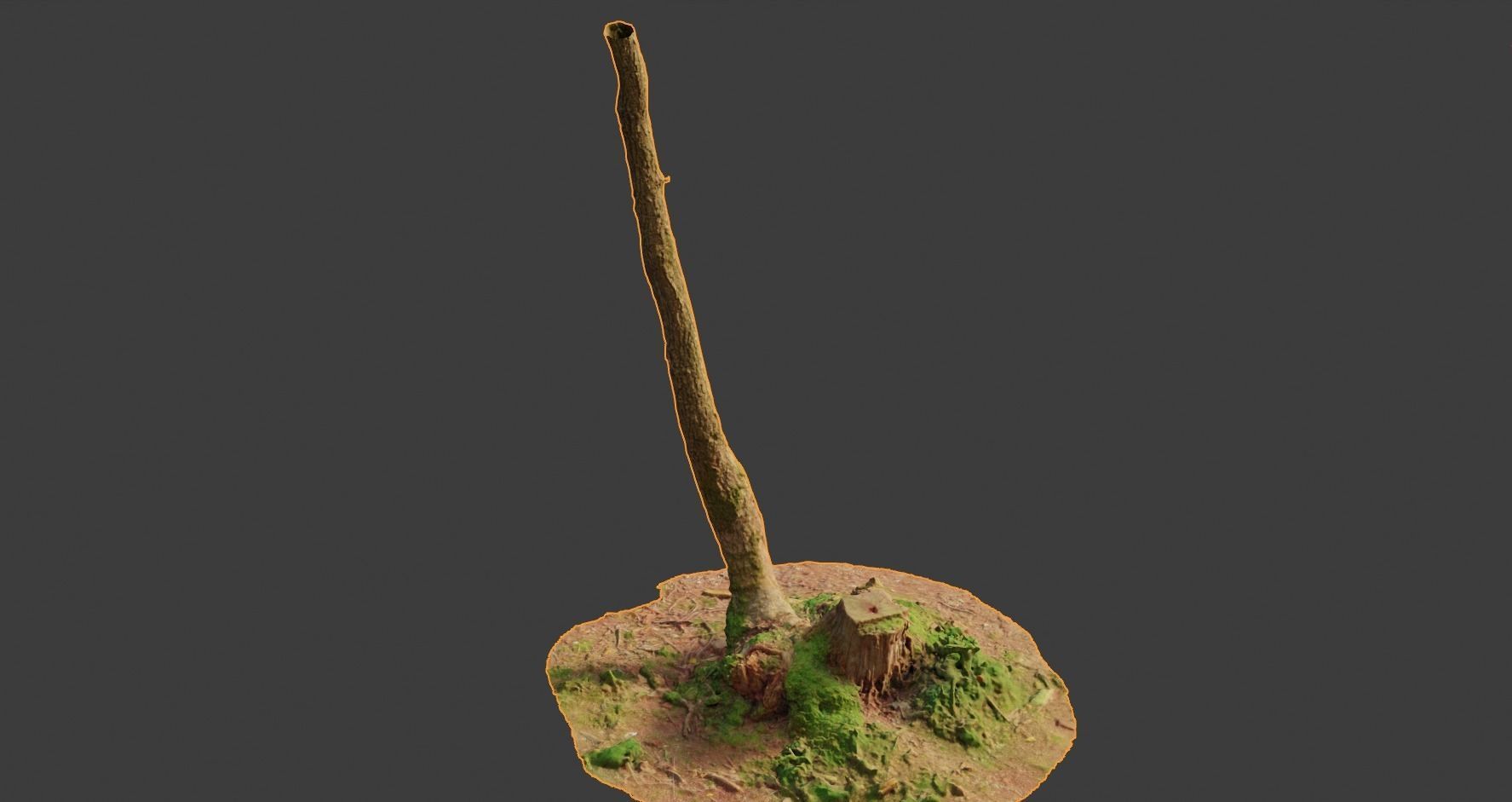 PBR Oak Small Tree Forest Scan Trunk Pack 3D model_11