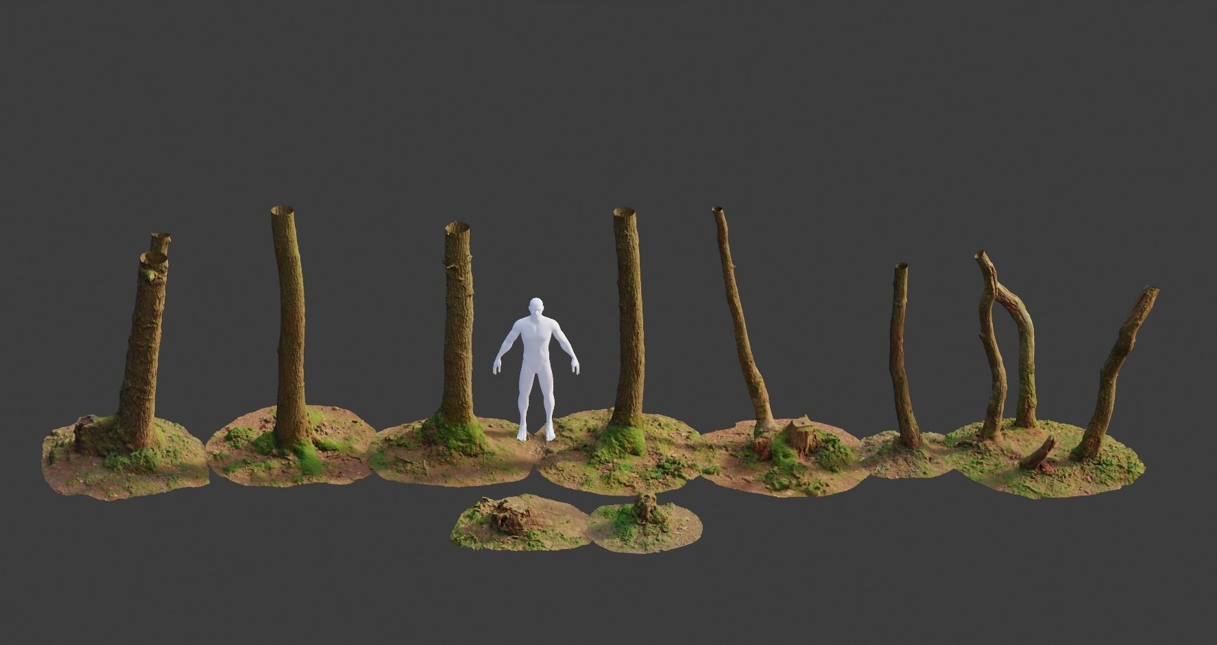 PBR Oak Small Tree Forest Scan Trunk Pack 3D model_1