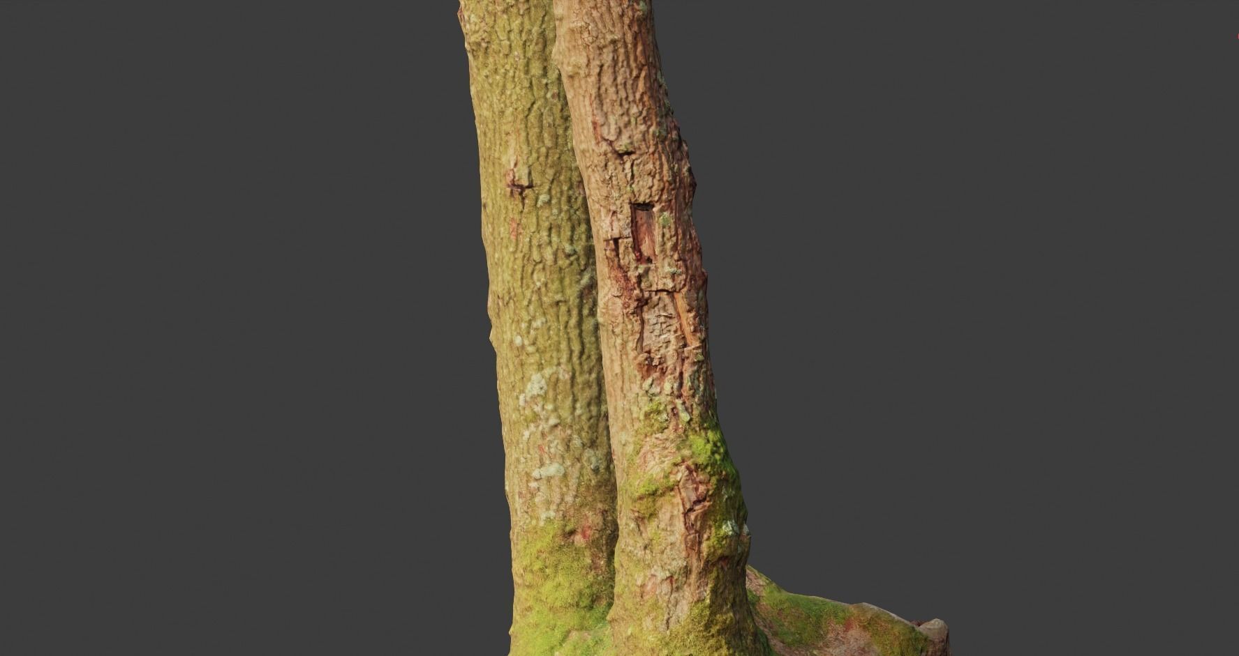 PBR Oak Small Tree Forest Scan Trunk Pack 3D model_20