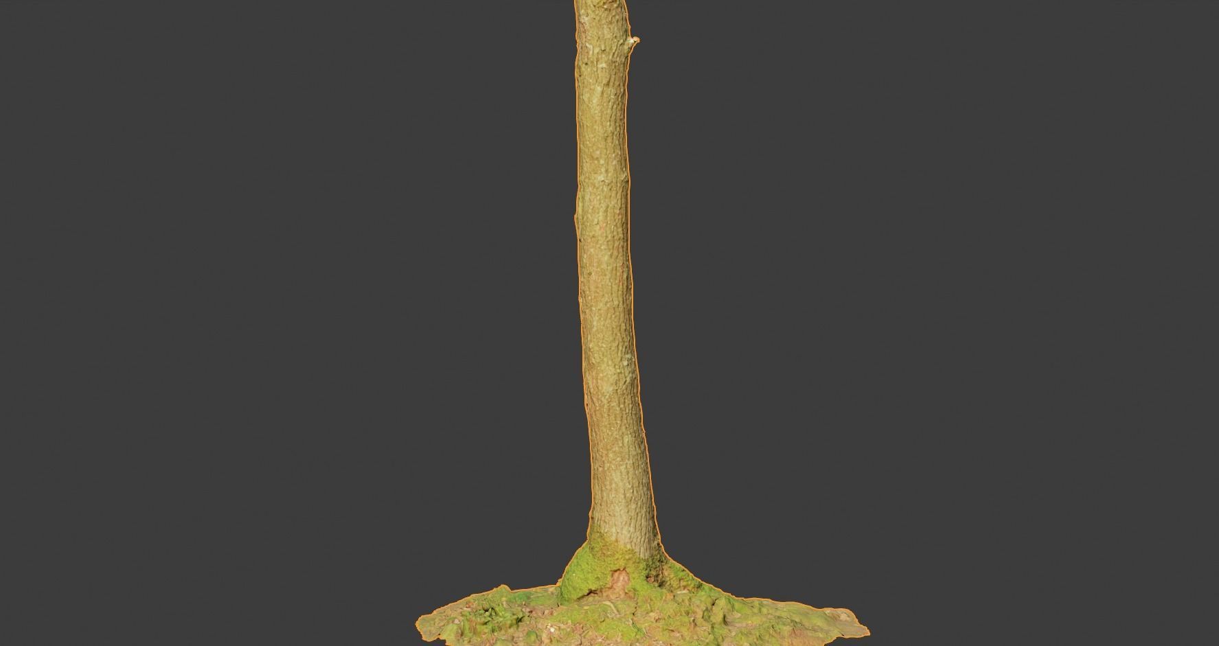 PBR Oak Small Tree Forest Scan Trunk Pack 3D model_13