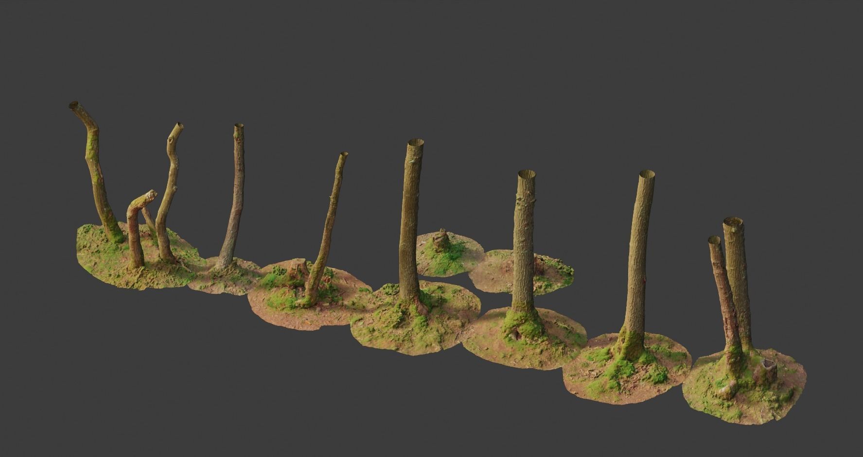 PBR Oak Small Tree Forest Scan Trunk Pack 3D model_5