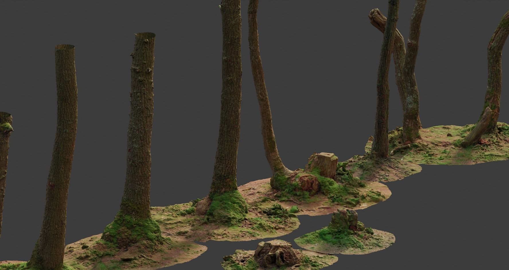 PBR Oak Small Tree Forest Scan Trunk Pack 3D model_7