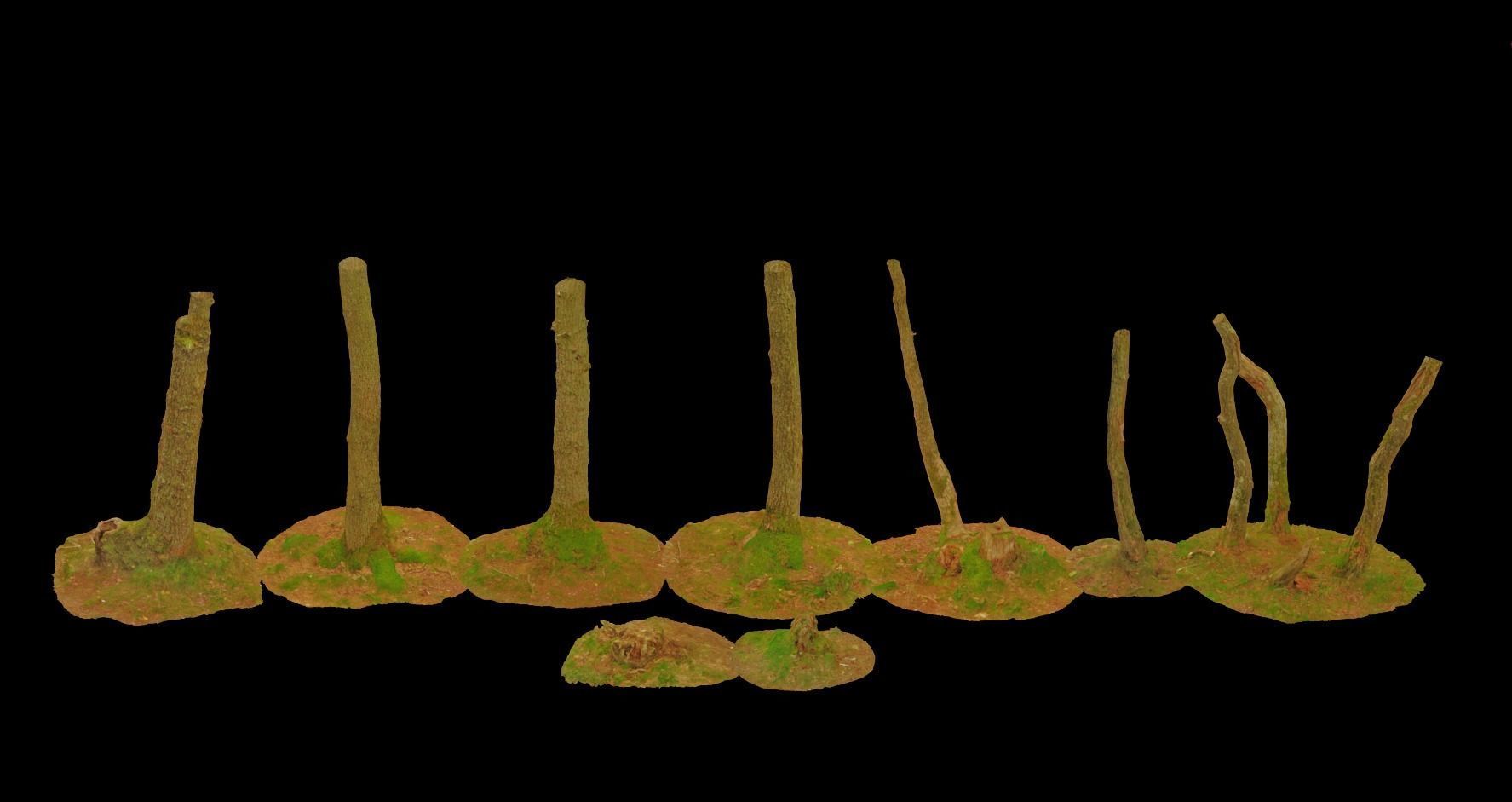 PBR Oak Small Tree Forest Scan Trunk Pack 3D model_4