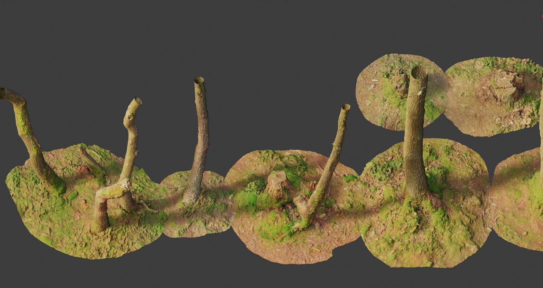 PBR Oak Small Tree Forest Scan Trunk Pack 3D model_21