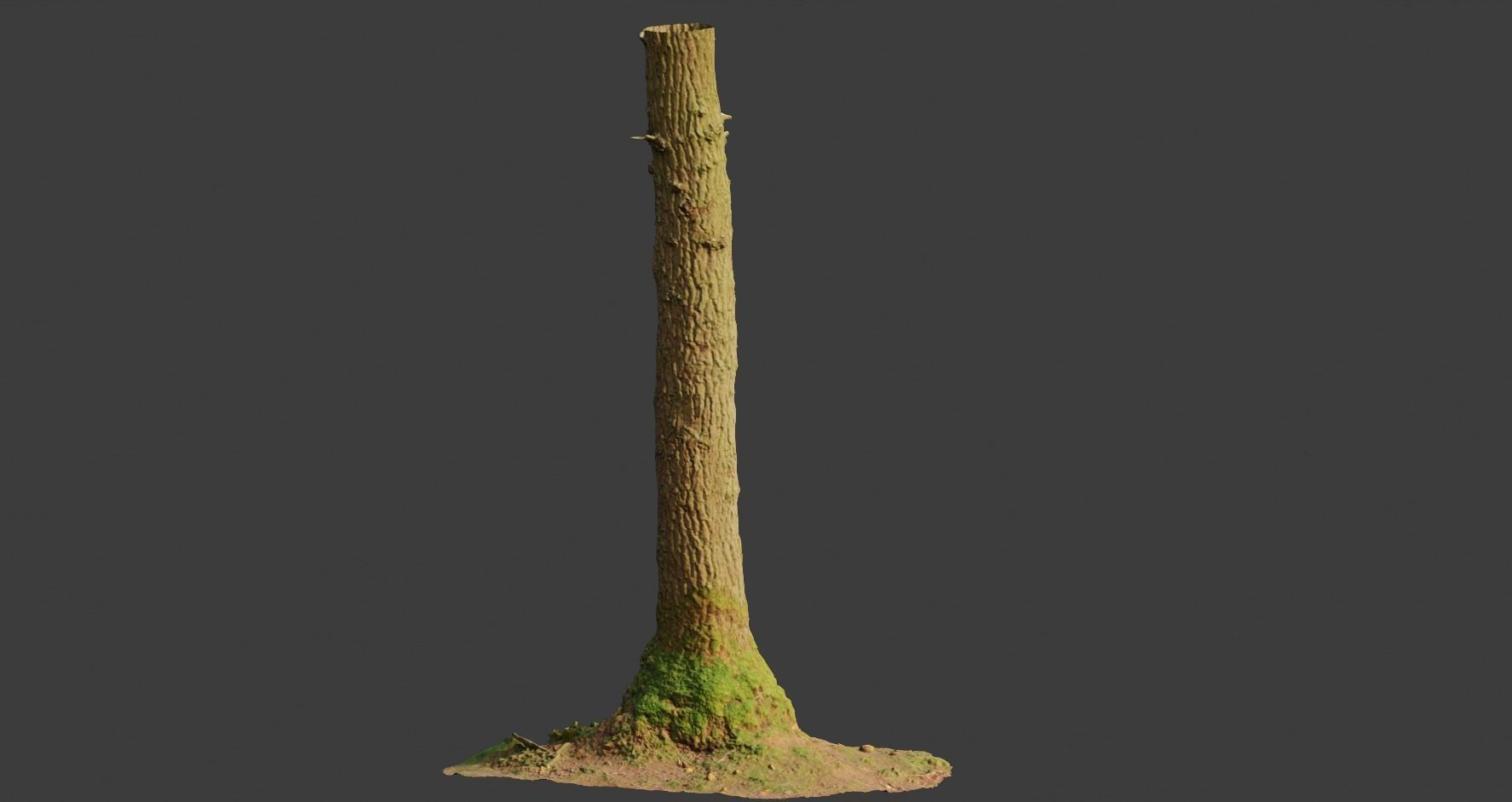 PBR Oak Small Tree Forest Scan Trunk Pack 3D model_16