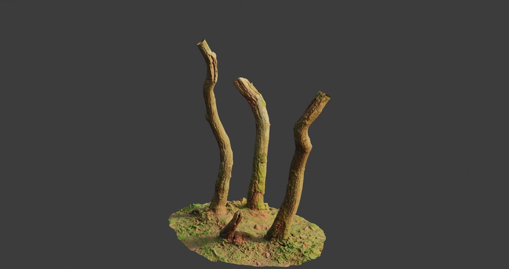 PBR Oak Small Tree Forest Scan Trunk Pack 3D model_9