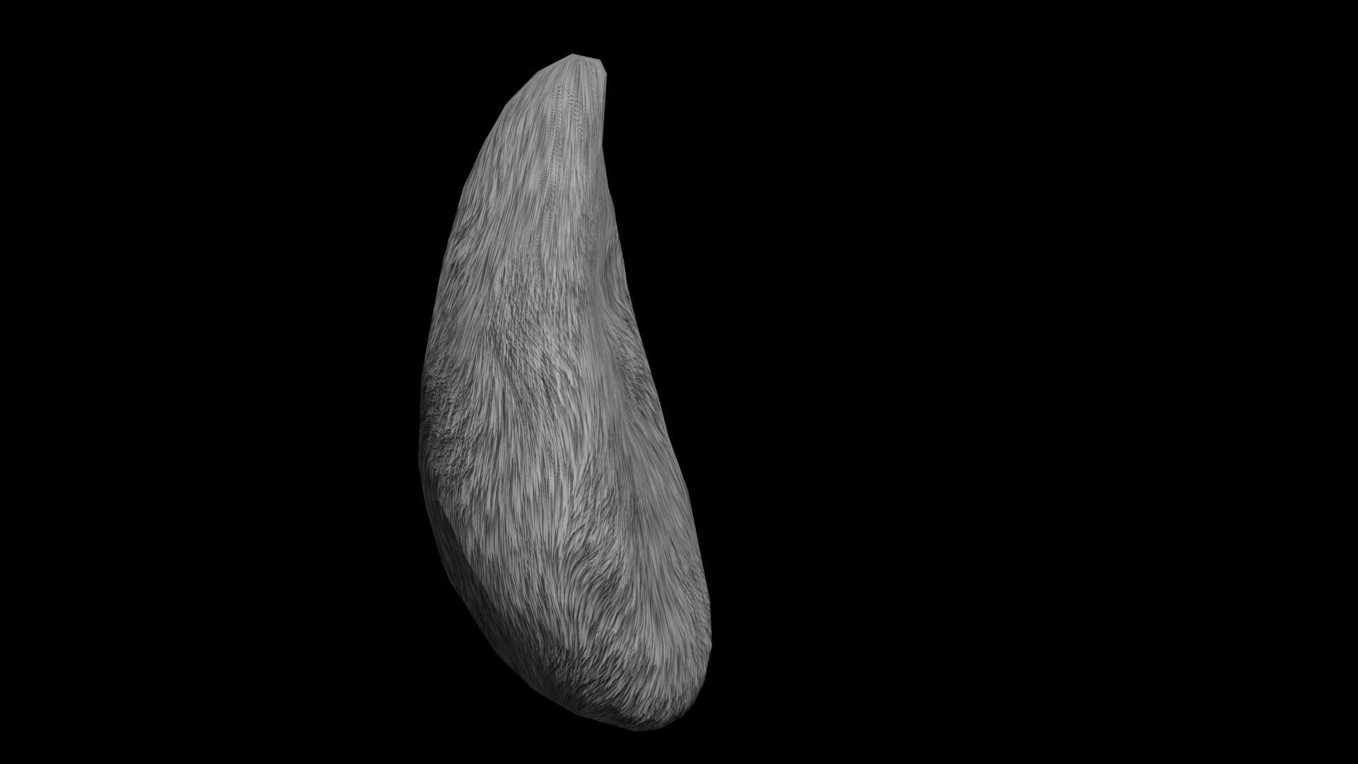 Bunny Tail for Final Fantasy XIV Low-poly 3D model_36