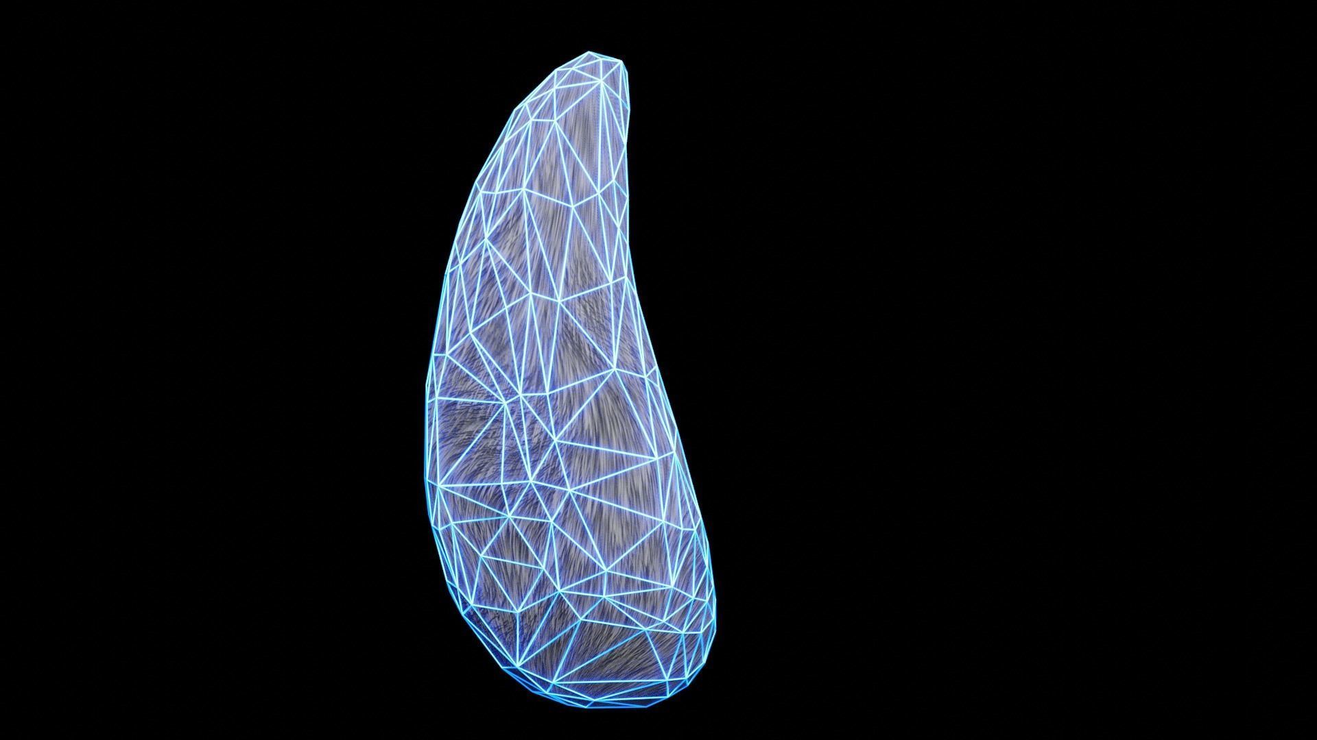 Bunny Tail for Final Fantasy XIV Low-poly 3D model_33