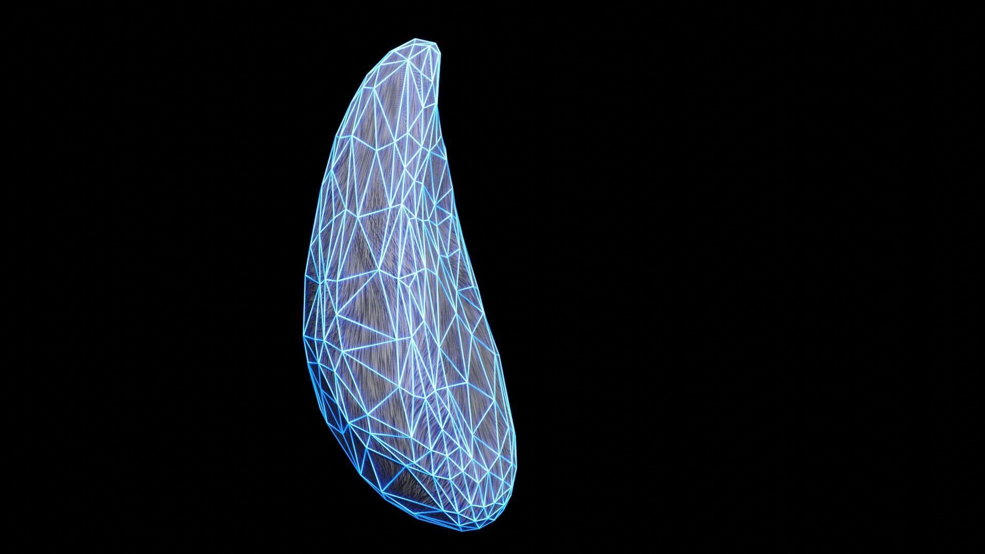 Bunny Tail for Final Fantasy XIV Low-poly 3D model_38