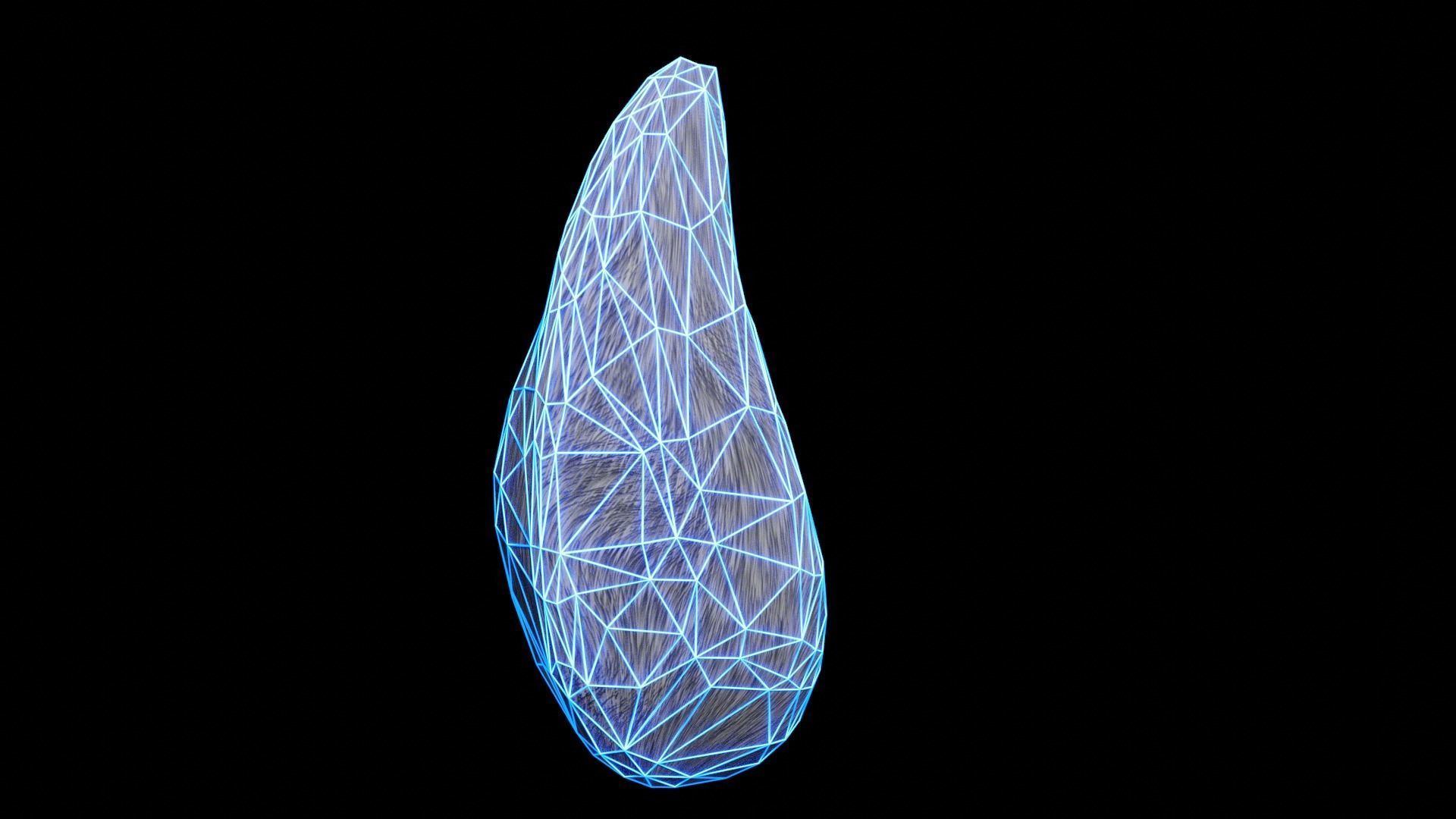 Bunny Tail for Final Fantasy XIV Low-poly 3D model_11