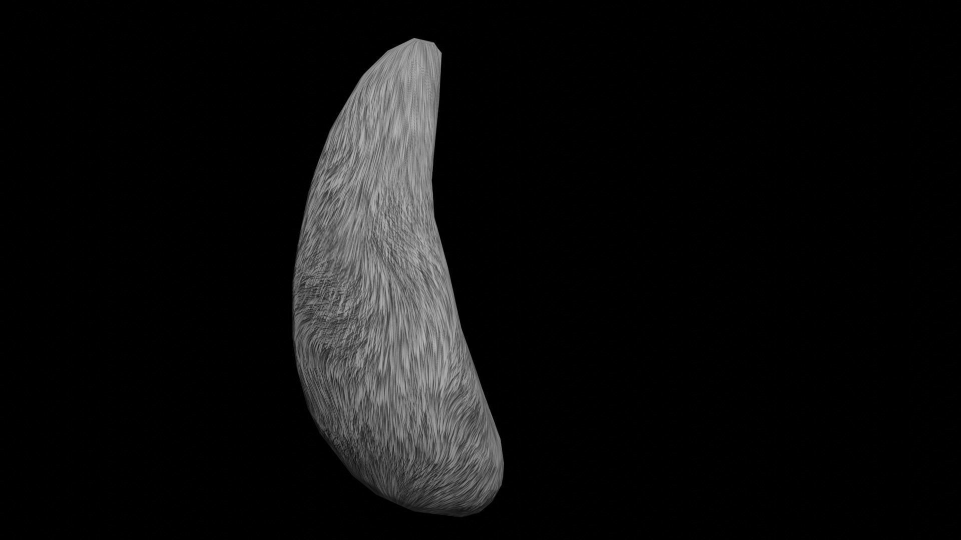 Bunny Tail for Final Fantasy XIV Low-poly 3D model_31