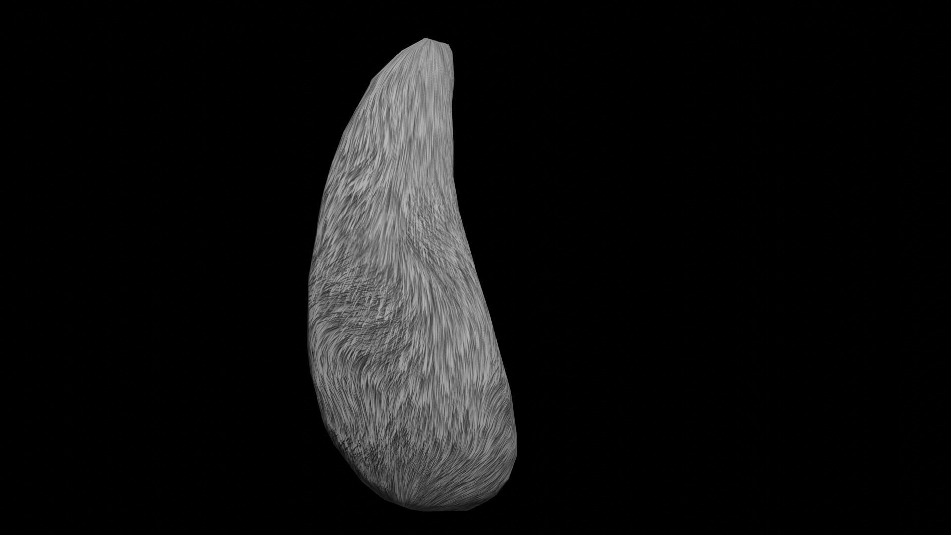 Bunny Tail for Final Fantasy XIV Low-poly 3D model_37