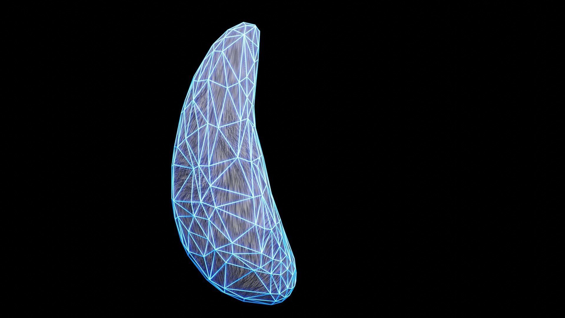 Bunny Tail for Final Fantasy XIV Low-poly 3D model_34