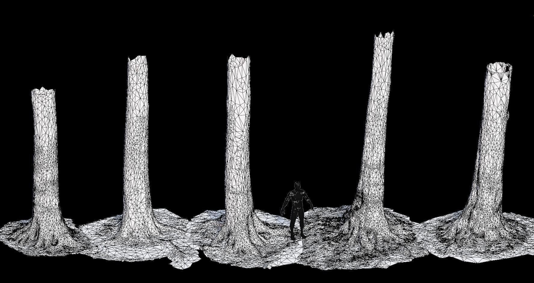 PBR Beech Tree Dead Trunk Collection Realistic Scan Low-poly 3D model_3