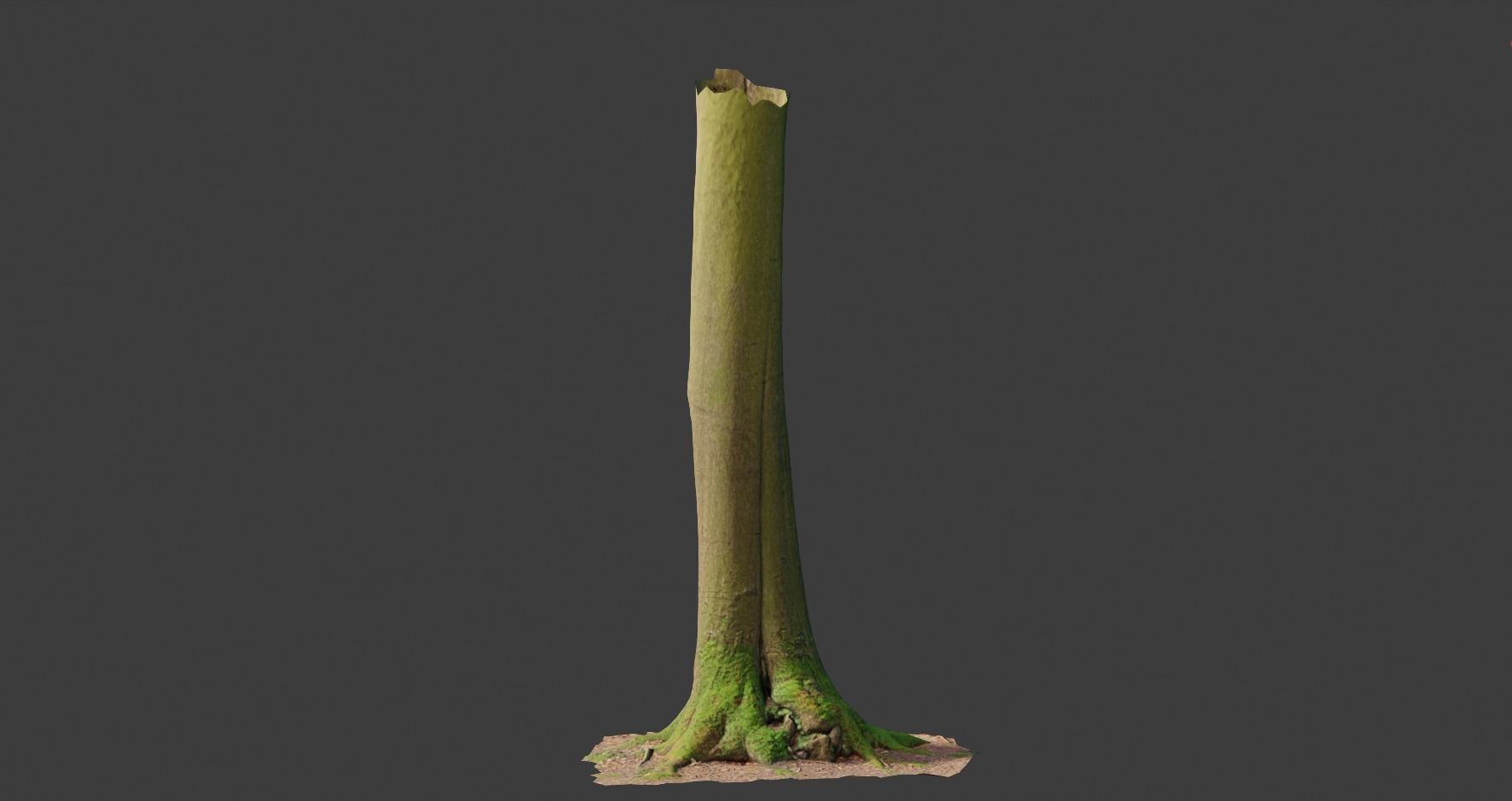 PBR Beech Tree Dead Trunk Collection Realistic Scan Low-poly 3D model_7