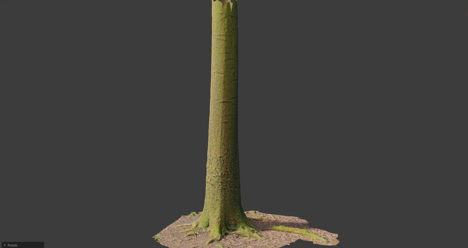 PBR Beech Tree Dead Trunk Collection Realistic Scan Low-poly 3D model_8