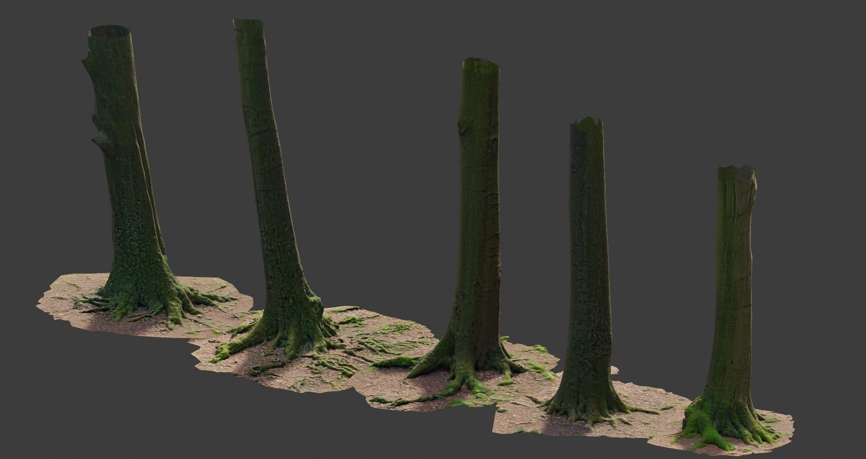 PBR Beech Tree Dead Trunk Collection Realistic Scan Low-poly 3D model_5
