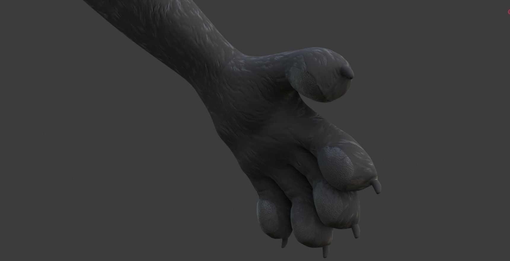 Chloe Anthro Fox 3D model_48