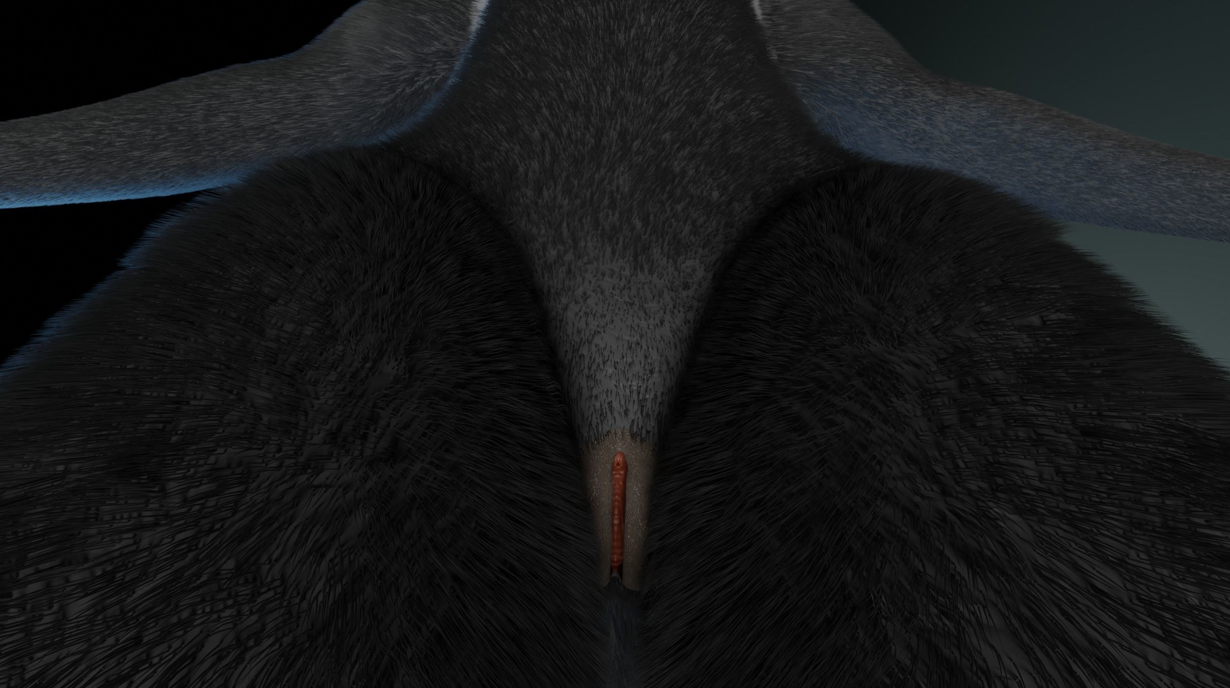 Chloe Anthro Fox 3D model_13