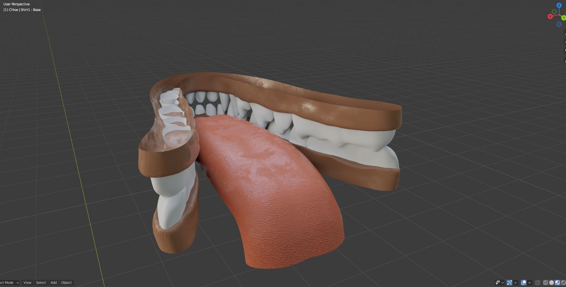 Chloe Anthro Fox 3D model_78