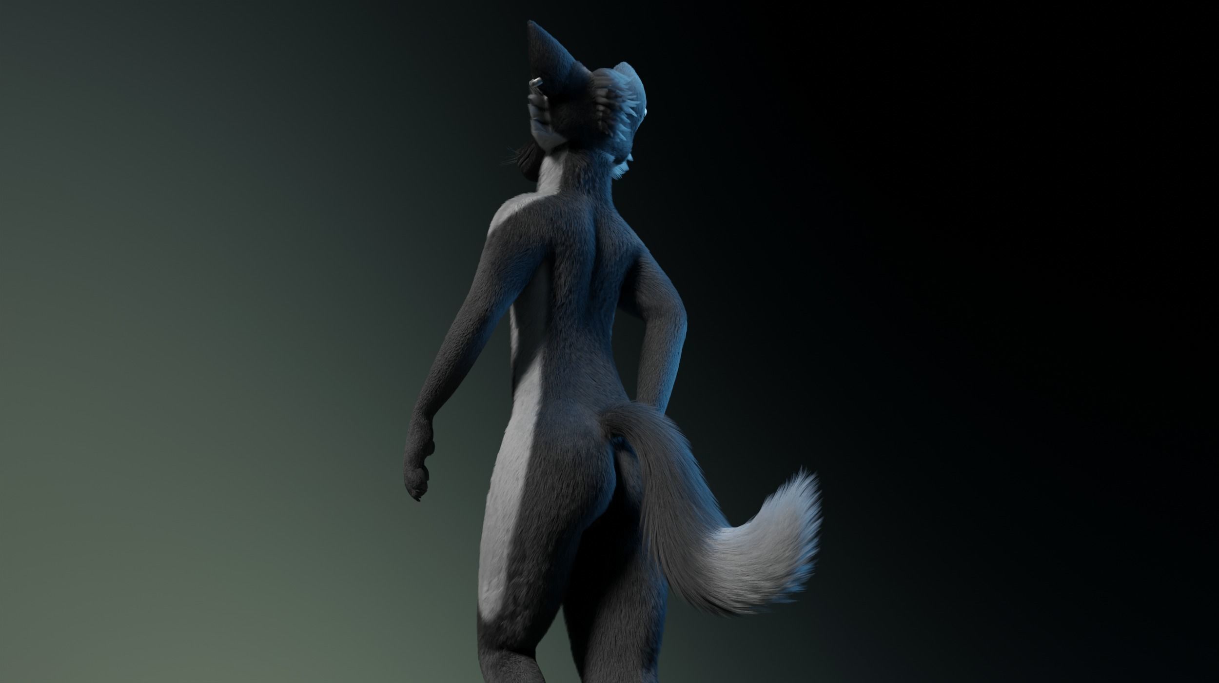 Chloe Anthro Fox 3D model_19