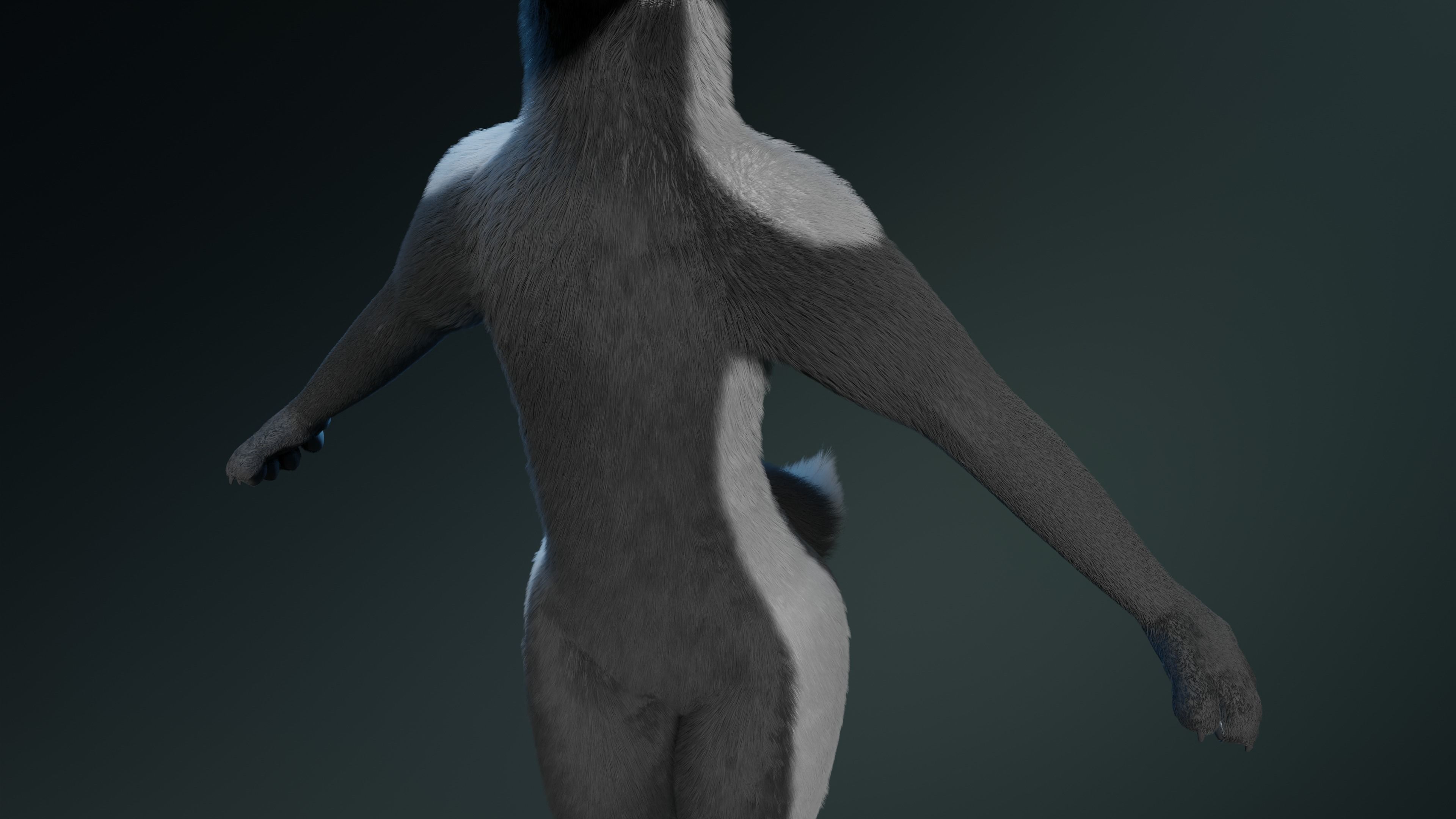 Chloe Anthro Fox 3D model_6