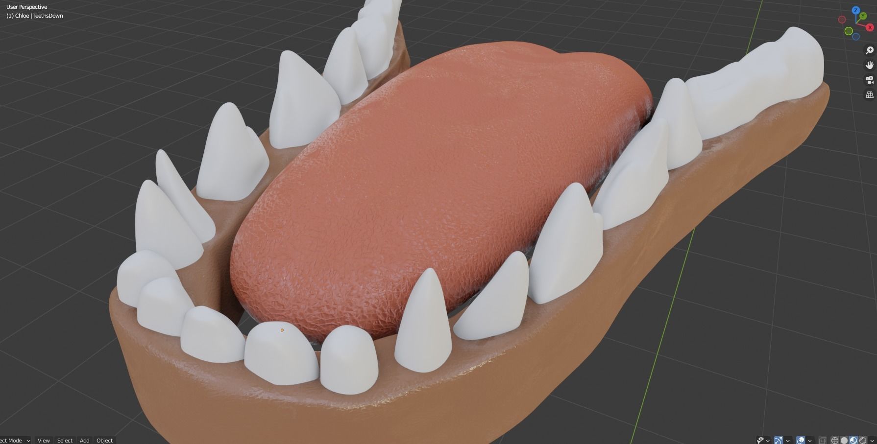 Chloe Anthro Fox 3D model_80