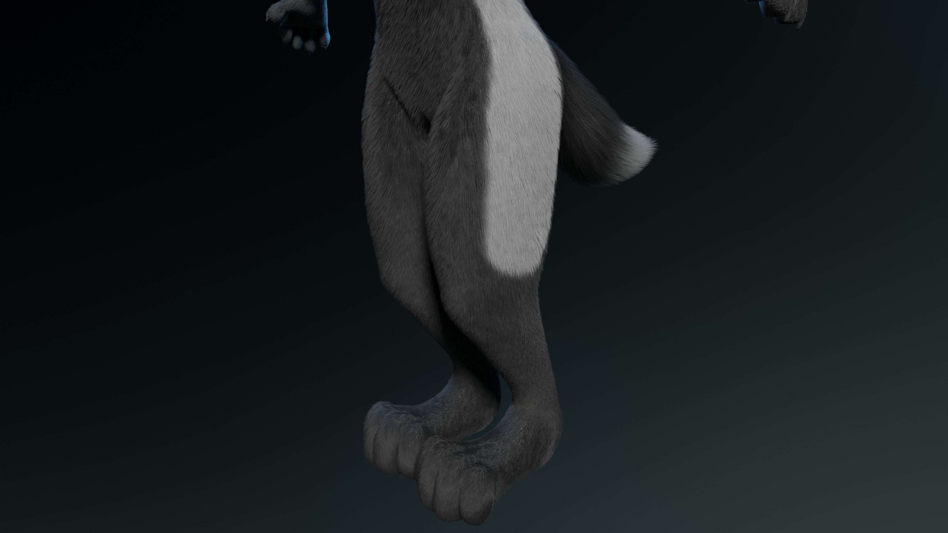 Chloe Anthro Fox 3D model_8