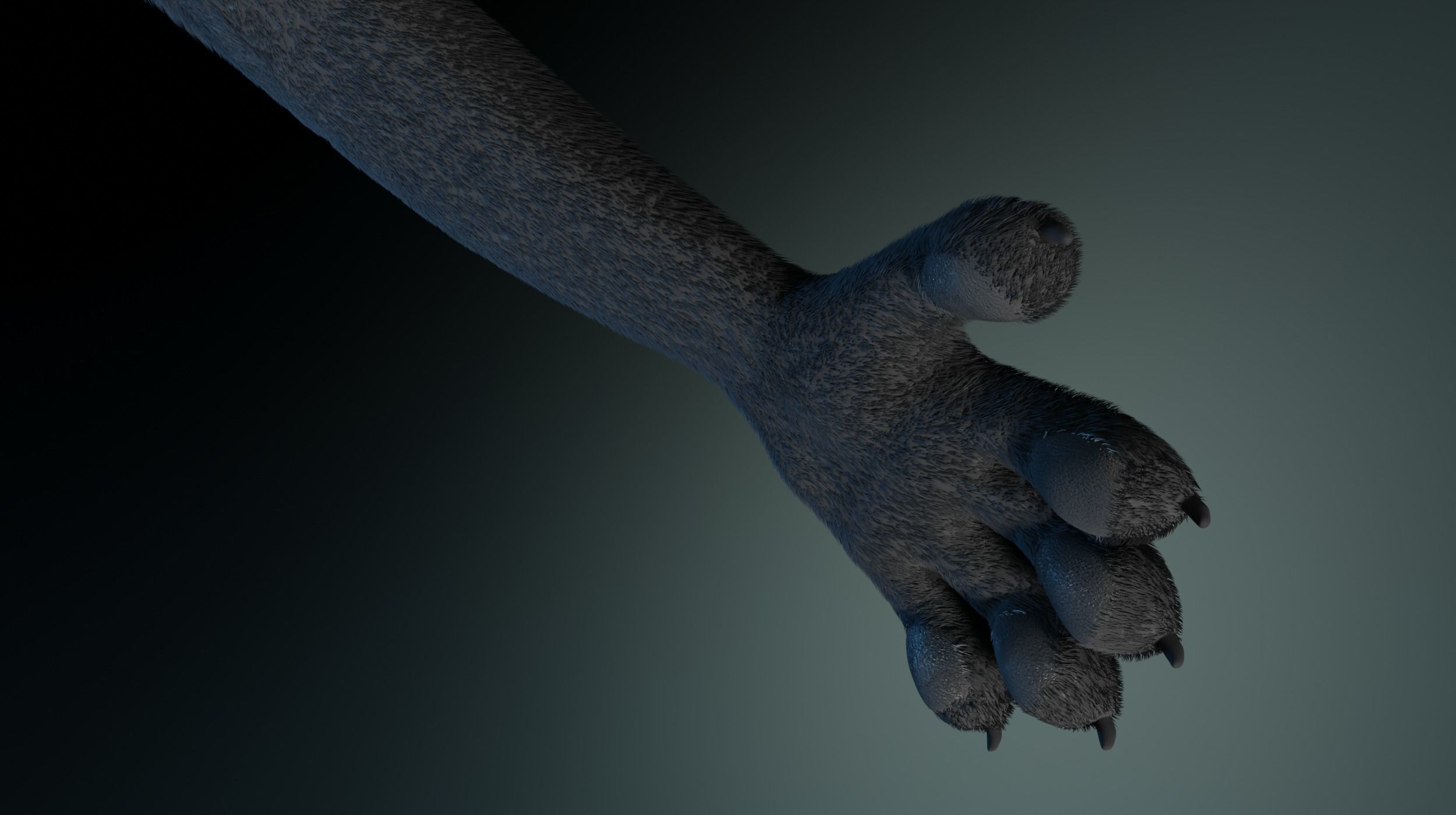 Chloe Anthro Fox 3D model_16