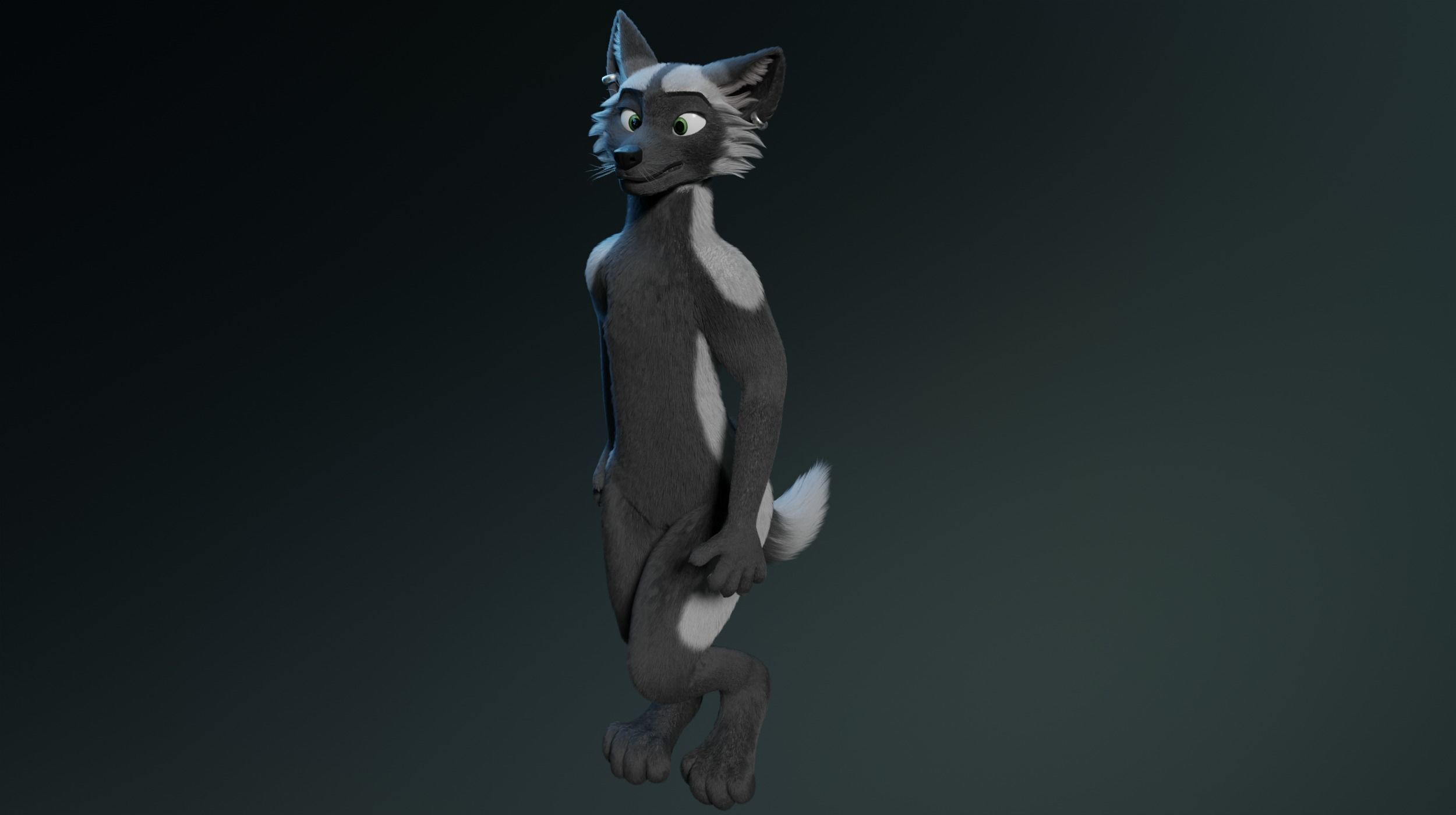 Chloe Anthro Fox 3D model_17