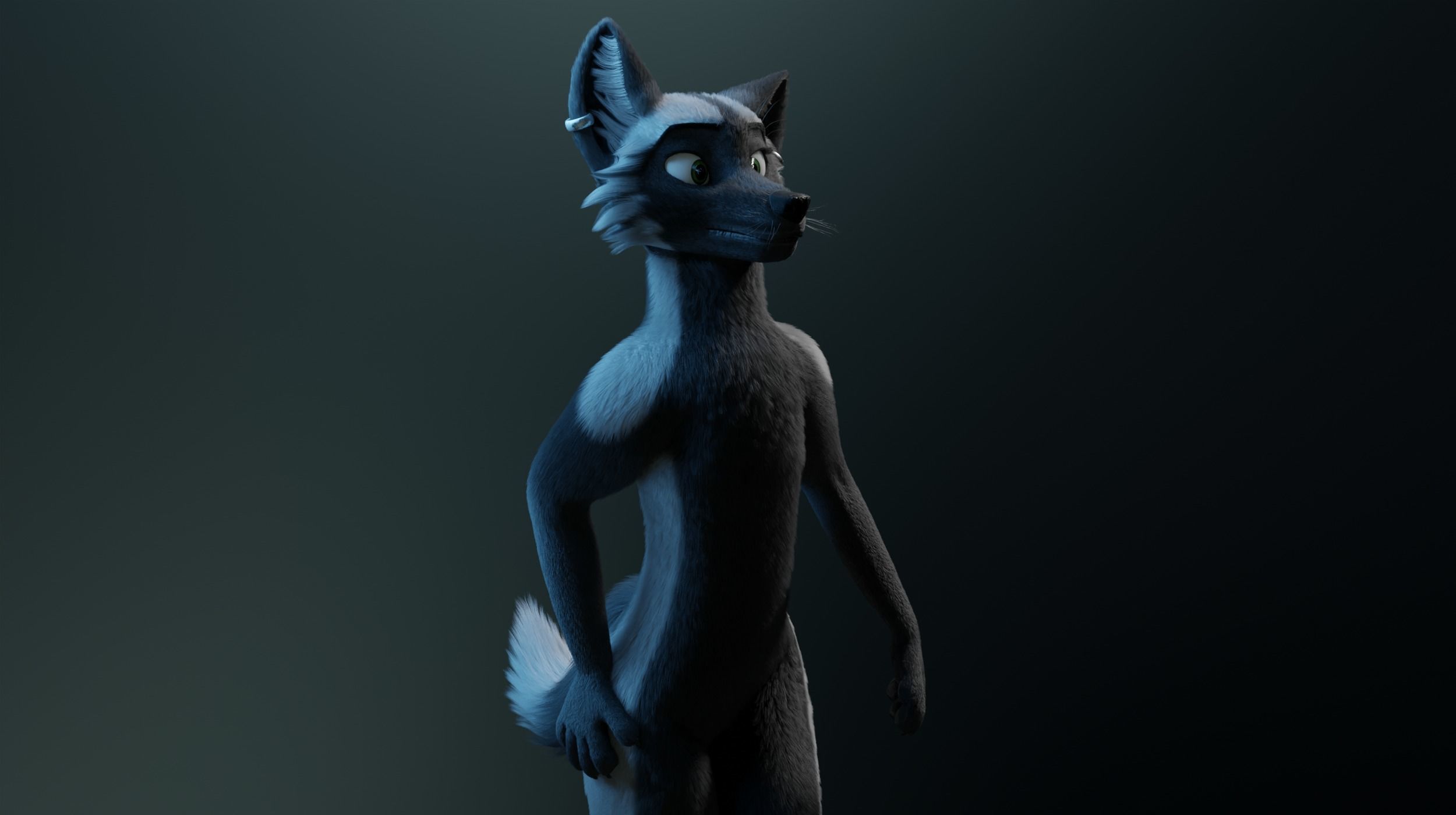 Chloe Anthro Fox 3D model_21