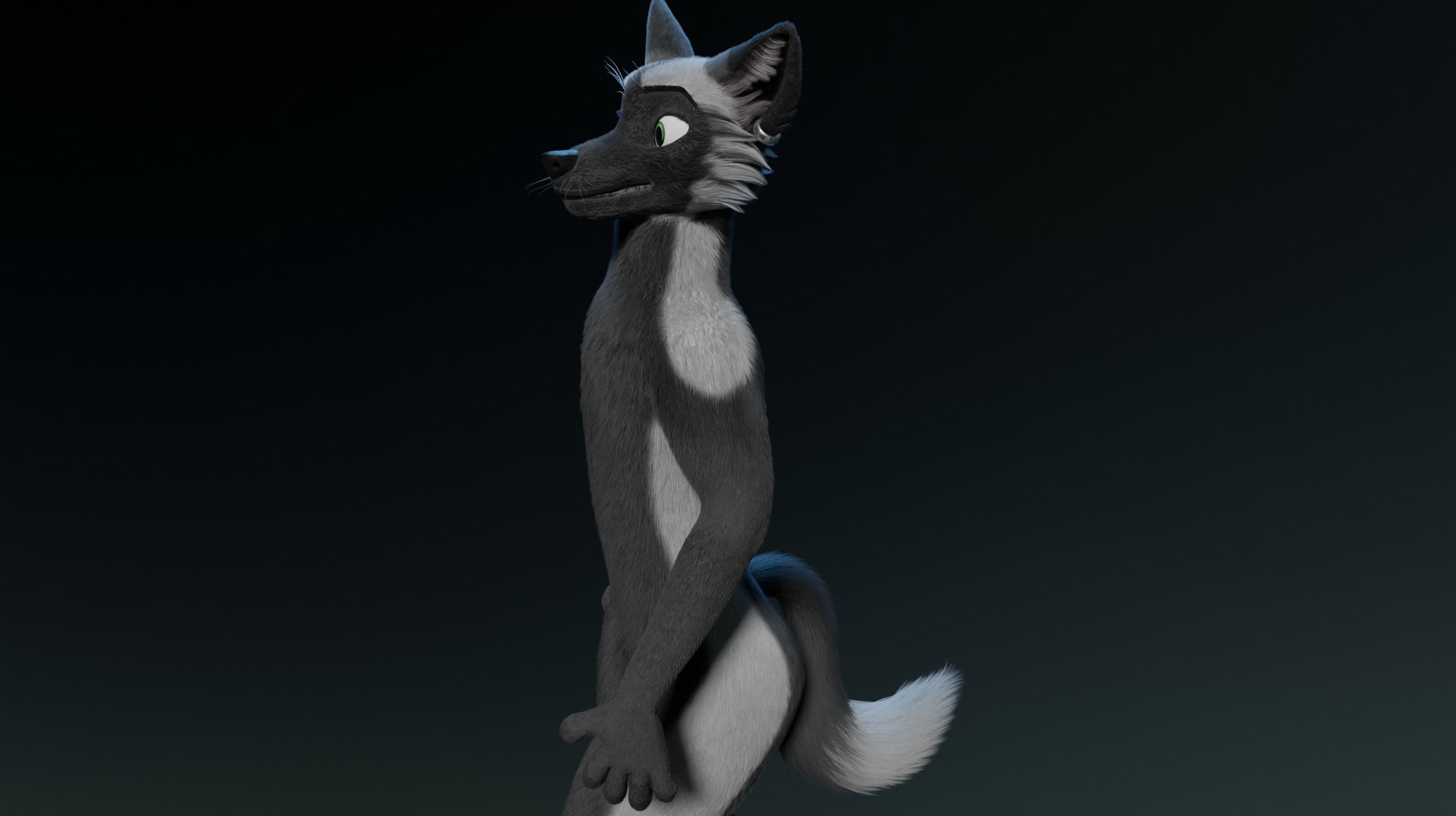 Chloe Anthro Fox 3D model_18